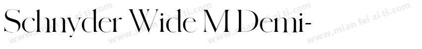 Schnyder Wide M Demi字体转换
